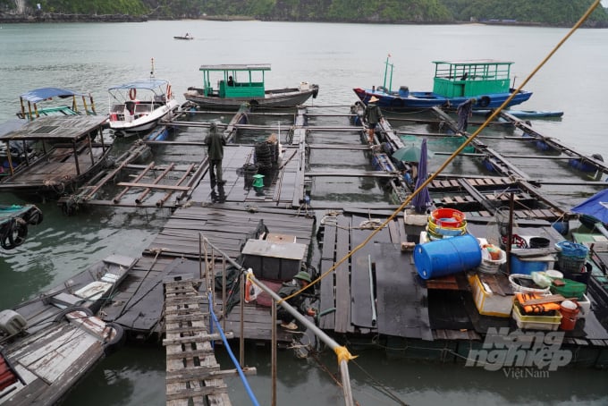 bo-so-7-111657_861.jpg Ngư dân ở Cát Bà gia cố thuyền bè ứng phố bão số 7. Ảnh: Đinh Mười.