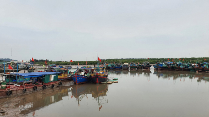 danh-bat-thuy-san-5-201209_753.jpg Hàng trăm chiếc tàu ở cảng cá Ngọc Hải, quận Đồ Sơn vẫn im lìm, chưa chịu vươn khơi 'khai xuân'. Ảnh: Đinh Mười.