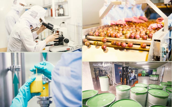 Nhờ áp dụng khoa học và công nghệ, Nafoods Group tự tin hướng đến tầm nhìn trở thành tập đoàn tiên phong phát triển chuỗi giá trị nông nghiệp xanh, bền vững. Ảnh: NNVN.