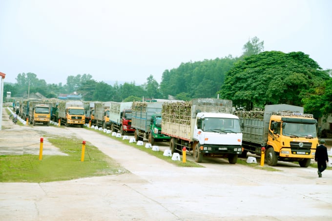 Từ nhiều năm nay, NASU đã sản xuất điện từ bã mía để sử dụng và bán cho Nhà nước. Ảnh: TH.