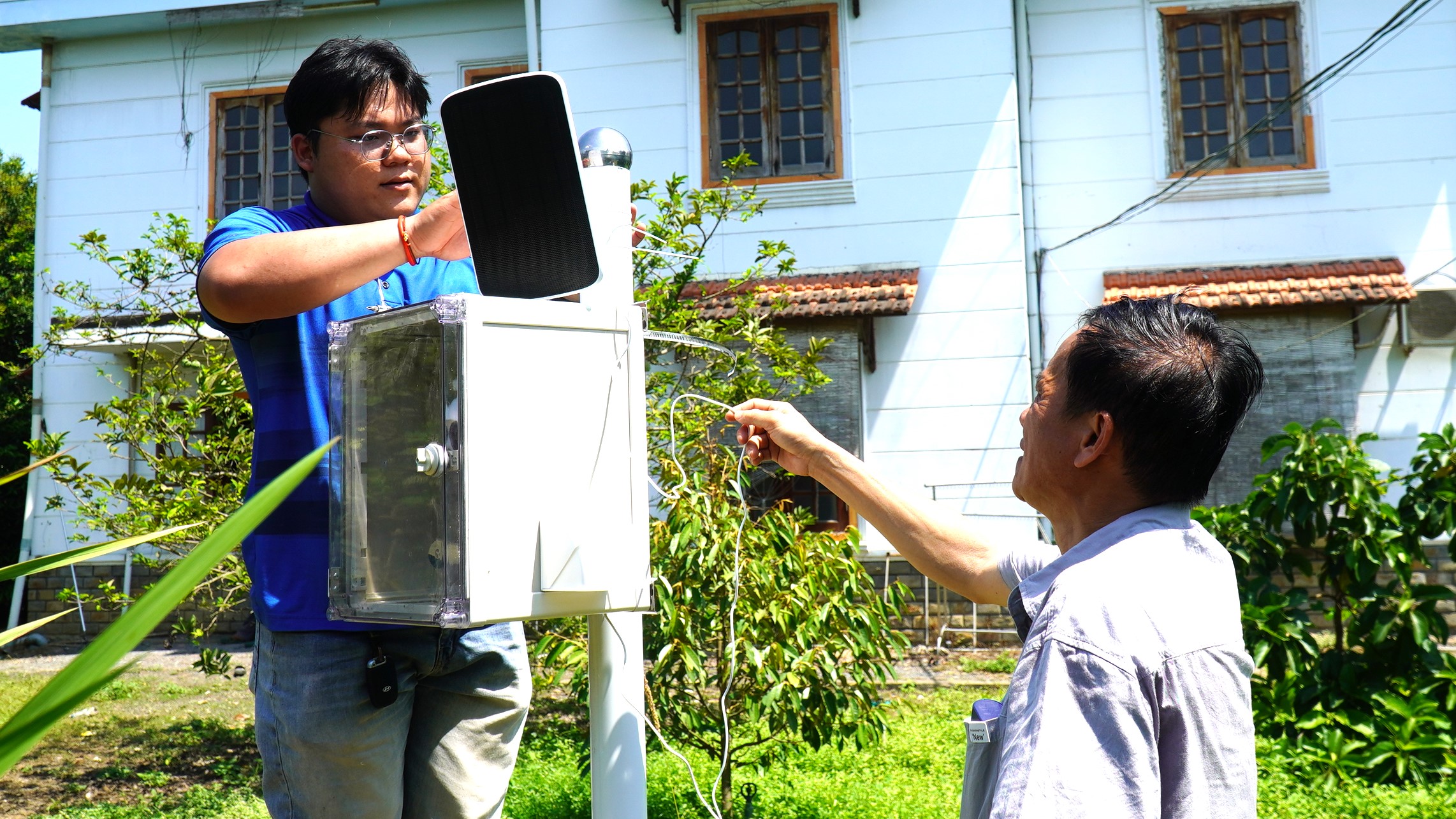 Giám sát mật độ ruồi vàng bằng IoT