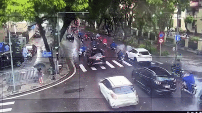 Cây xà cừ cổ thụ bất ngờ bật gốc đè trúng ô tô ở Hà Nội