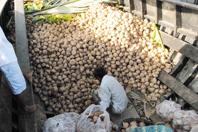 10-40-34_nh_1_cu_sn_dng_tng_gi_co_giup_nguoi_trong_phn_khoi
