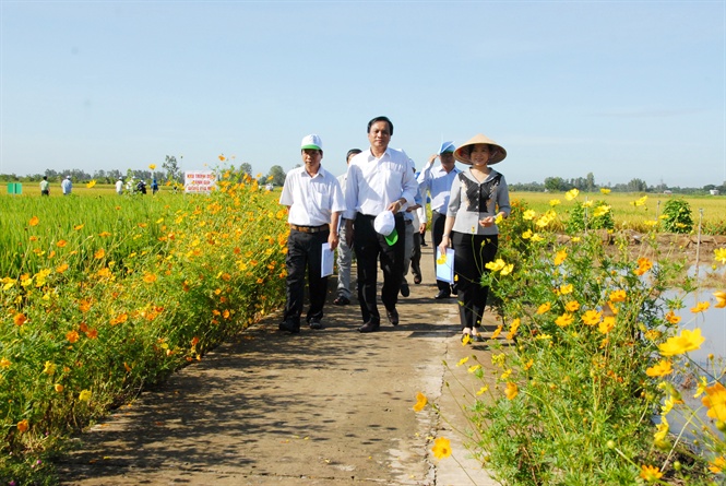 08-19-24_nh_3_trong_cnh_tc_lu_giong_cty_p_dung_ipm_thuc_hien_chuong_trinh_3_gim_3_tng_1_phi_5_gim
