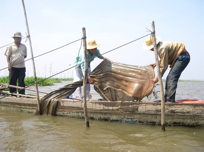 16-13-26_2su_khi_dp_dieu_tiet_lu_tr_su_duoc_x_nuoc_do_ve_noi_dong_nhieu_nong_dn_co_them_thu_nhp_tu_nguon_loi_thuy_sn_2
