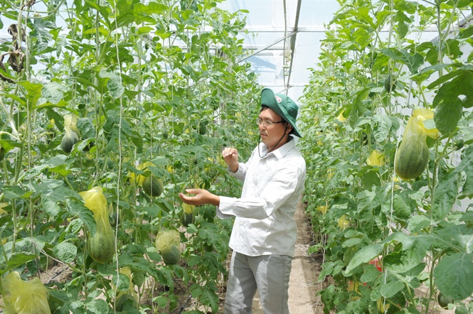 08-01-26_nh_3_mo_hinh_nong_nghiep_ung_dung_cong_nghe_co_o_n_ging