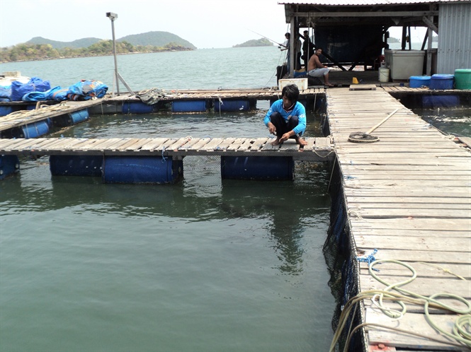16-43-44_2c_nuoi_bi_chet_nhung_ngu_dn_dnh_chiu_trn_chu_khong_the_di_chuyen_long_be_di_noi_khc