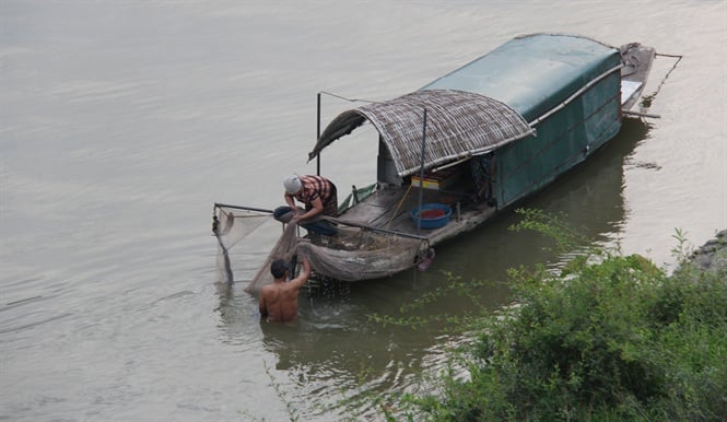 11-33-30_vo_chong_ong_yen_nhieu_nm_lm_nghe_chi_luoi_tren_song_thuong_cm_thy_ngn_ngm_vi_c_don_be_2