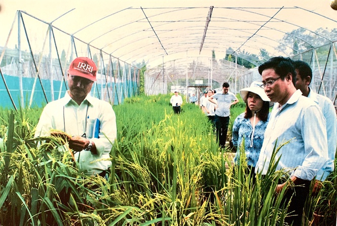 10-05-43_nh_1_-_khu_nh_thuc_nghiem_vien_lu_dbscl_-_nh_vl