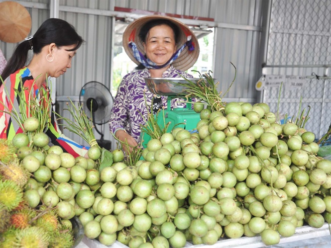 17-54-31_du_h_chu_-_dc_sn_noi_tieng_cu_huyen_phong_dien_tp_cn_tho_-_nh_hd