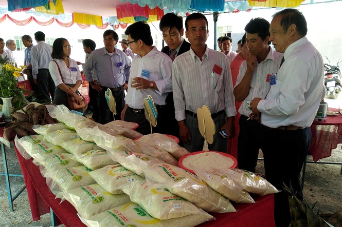 12-42-23_nh_sn_phm_go_phu_thien_cu_hop_tc_x_nong_nghiep_chu__thi_duoc_trung_by_ti_phien_cho_nong_sn_n_ton