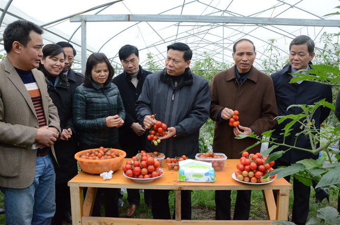 20-30-21_dc_nguyen_nhn_chien_uy_vien_trung_uong_dng_bi_thu_tinh_uy_truong_don_dbqh_tinh_cung_cc_dc_lnh_do_tinh_thm_trng_tri_nong_nghiep_cong_nghe_co_ecofrm_ti_x_thuy_ho_yen_phong