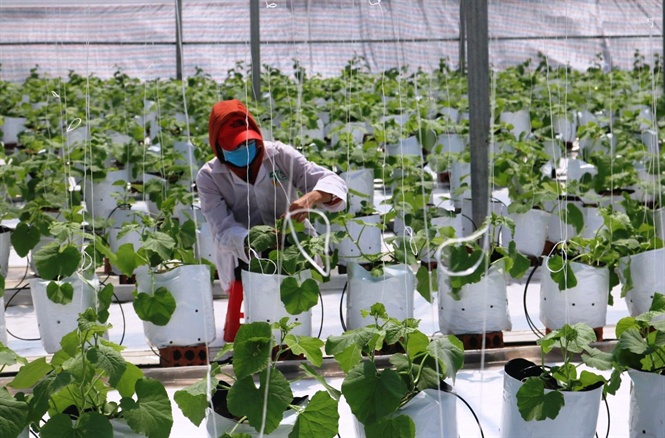 15-47-58_ung_dung_nong_nghiep_cong_nghe_co