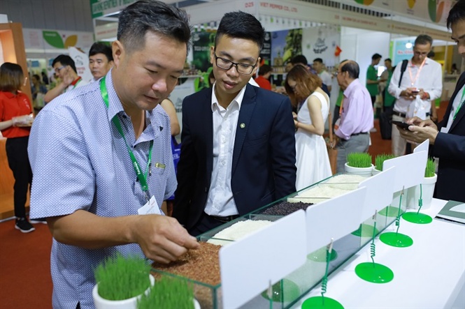 10-20-05_khch_hng_tri_nghiem_sn_phm_ti_gin_hng_cu_the_pn_group_2