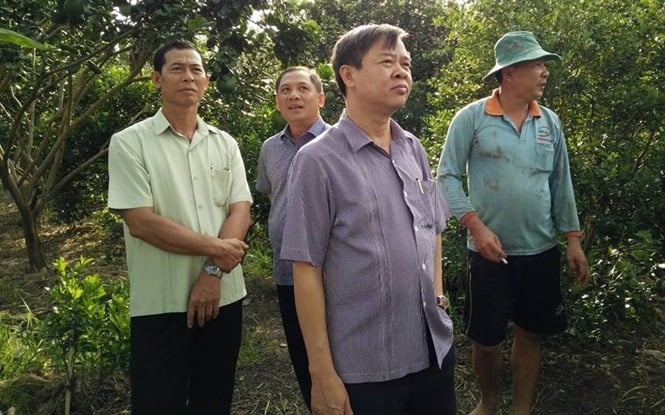 10-48-15_1_ong_truong_cnh_tuyen_pho_chu_tich_ubnd_tinh_hu_ging__dung_truoc_thm_qun_mo_hinh_sn_xut_cu_nong_dn_x_long_phu