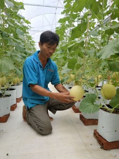 09-17-32_nh_quynh_kiem_tr_do_chin_cu_du_luoi