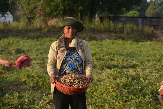 12-42-52_nh_1_chuong_trinh_huong_den_du_luong_thuc_v_nng_co_tm_voc_con_nguoi_tr_vinh