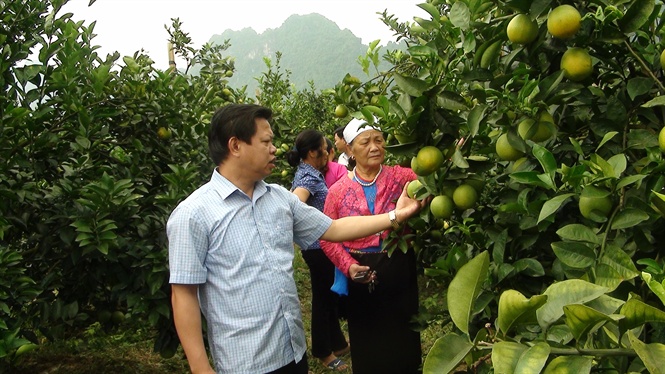 10-24-02-don-lnh-do-huyen-lc-thuy-thm-vuon-cm-ti-ho-ong-le-quy-my-x-lien-ho083323887104946366