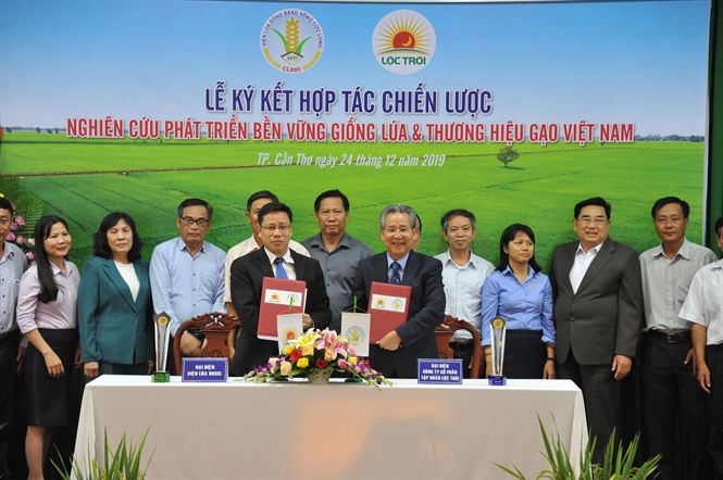 17-21-09_nh_1_vien_lu_dbscl_v_tp_don_loc_troi_ky_ket_hop_tc_chien_luoc_pht_trien_ben_vung_giong_lu_v_thuong_hieu_go_viet_nm