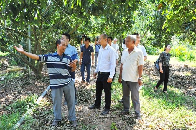 20-52-33_nh_1_dn_trung_quoc_den_tim_hieu_vung_nhn_cu_dong_thp_de_nhp_khu_ve_nuoc