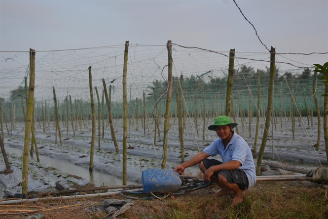 15-03-24_ngnh_nong_nghiep_khuyen_co_nguoi_dn_su_dung_nuoc_tiet_kiem