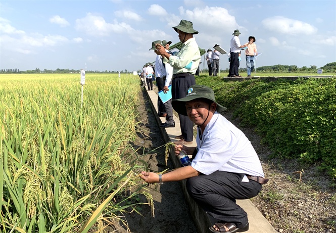 17-27-48_cn_bo_trung_tm_giong_cc_tinh_thm_qun_ruong_lu_giong_ti_vien_lu_dbscl_-_nh_hd