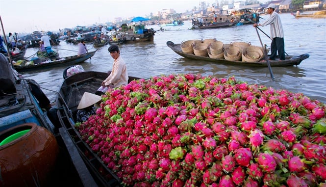 16-51-06_trongchinh_ghehngmiensongnuoc_04
