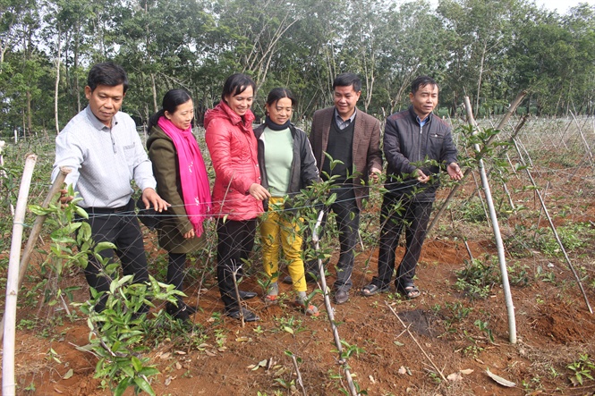 12-35-59_mo_hinh_b_kich_tim_ti_x_gio_binh_huyen_gio_linh