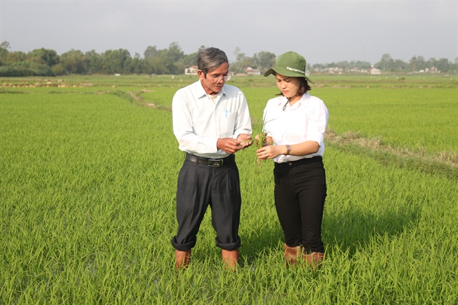 12-55-43_ky_su_phuong_tho_cung_ong_vui_dng_kiem_tr_benh_do_on_tren_ruong_htx_cm_n