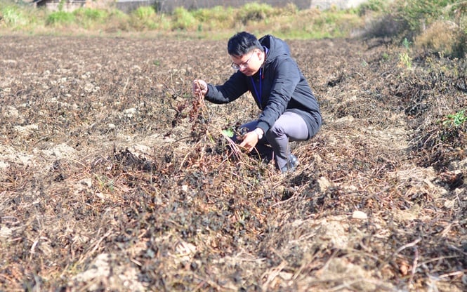 17-23-06_nh_3_suong_muoi