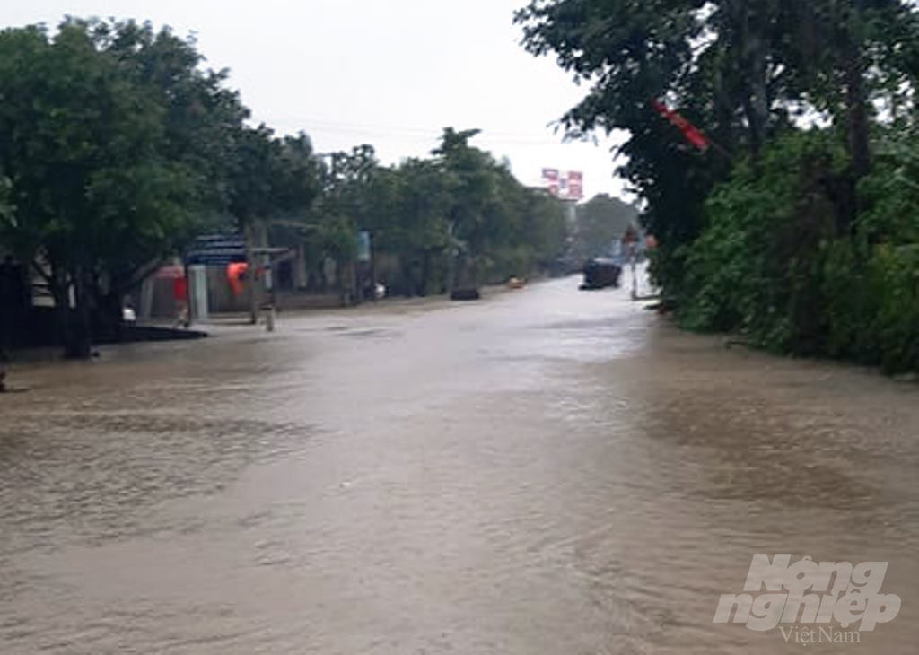 Khu vực chợ Đình, xã Trung Lộc ngập sâu trong nước lũ. Ảnh: Gia Hưng.