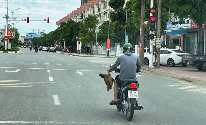 z2539707875926_200f302b34664a31b79073d873cc89e8-115434_696.jpg Một người dân TP Hà Tĩnh đi mua gà về tích trữ giữa 'bão' dịch Covid-19.