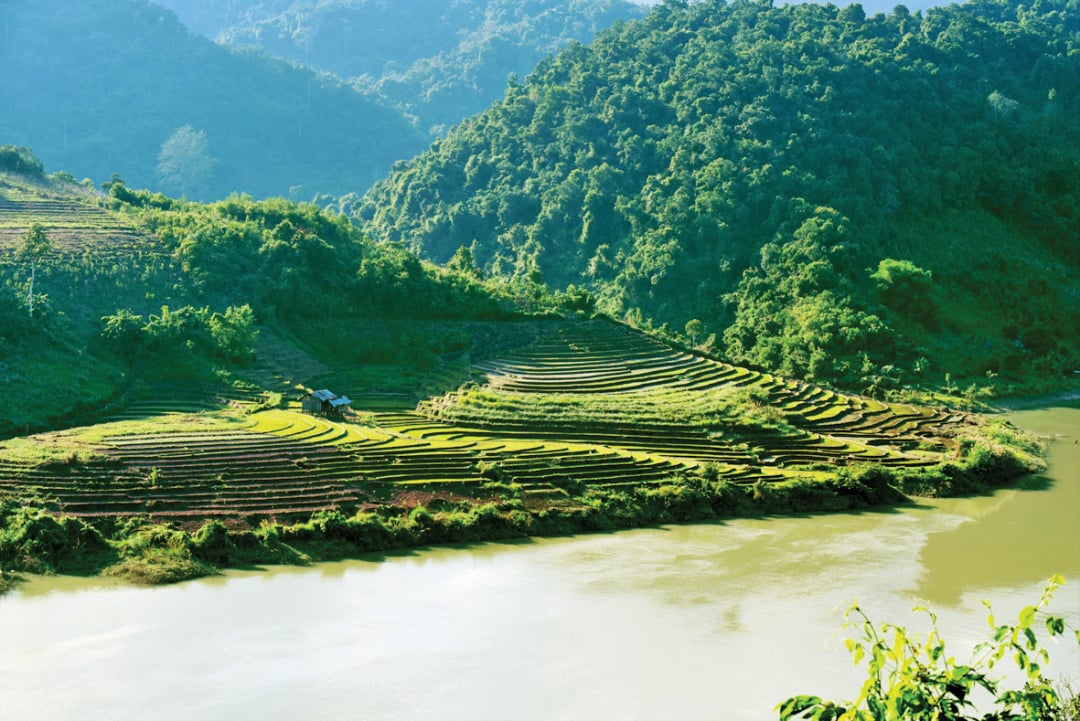 Ruộng bậc thang ở Mường Tè. Ảnh: Quốc Nhật.