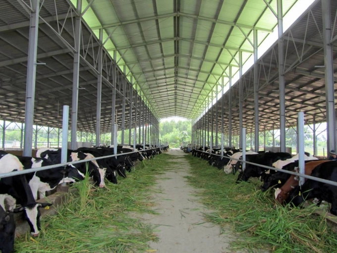 Waste from husbandry can be used as organic fertiliser to improve the soil quality. Photo: LB.