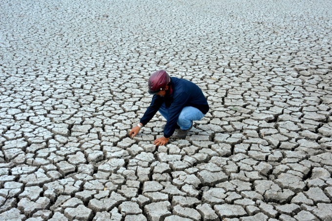 Severe drought occurred in many provinces of the Mekong Delta at the end of 2019 and early 2020. Photo: VAN.