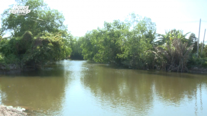 talk-han-man00_01_57_21still003-135714_459.jpeg Một số địa phương ở ĐBSCL đã đắp đập tạm để ngăn mặn và giữ ngọt trên các sông cụt, qua đó trữ được nguồn nước để phục vụ sản xuất và sinh hoạt. Ảnh: Quang Dũng.