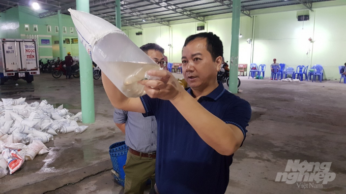 Ông Trần Đình Luân, Tổng cục trưởng Tổng cục Thủy sản, cùng với Đoàn công tác kiểm tra tôm giống trên địa bàn tỉnh Bạc Liêu. Ảnh: Trọng Linh.