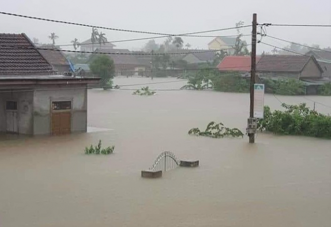 Ngập lũ ở Quảng Văn (Thị xã Ba Đồn). Ảnh: T.L.