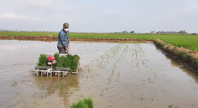 3-114438_647.jpg Máy cấy 6 hàng làm giảm công, tiết kiệm cho phí trên đồng ruộng cho bà con nông dân. Ảnh: N.Tâm