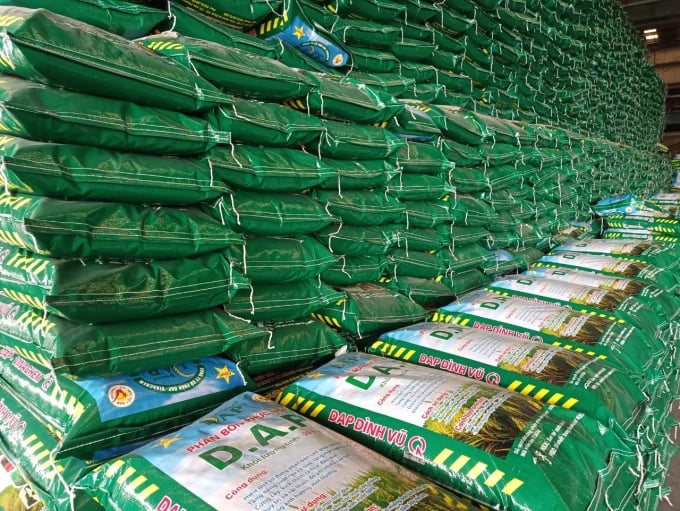 As the supply of DAP fertilizer in the country is plentiful, the reason for the scarcity leading to the rising price is a sign of hoarding and blowing prices. Photo: DDV.
