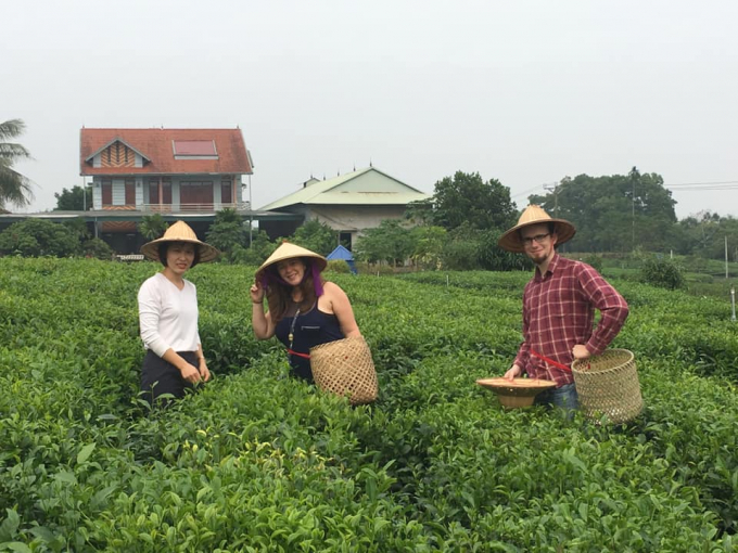 Du khách đến Tân Cương sẽ được trải nghiệm ngắm cảnh, tham gia vào các hoạt động sản xuất chè, thưởng trà cùng các nghệ nhân làm chè nơi đây. Ảnh: Bá Thắng.