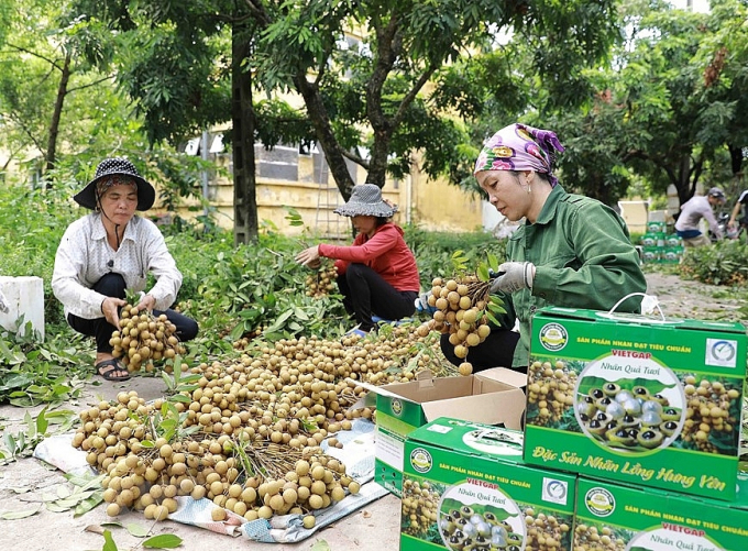 2622_2-085755_830.jpg Tổng giá trị sản xuất nông nghiệp, thủy sản giai đoạn 2016-2020 của tỉnh Hưng Yên tăng trưởng bình quân đạt 2,87%/năm. Ảnh: TL.