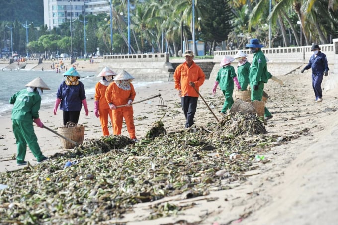 Nững ngày qua, rác thải đại dương từ các nơi khác trôi dạt với vệt dài khoảng 3-4 km trải khắp bãi biển Vũng Tàu. Ảnh: AV.