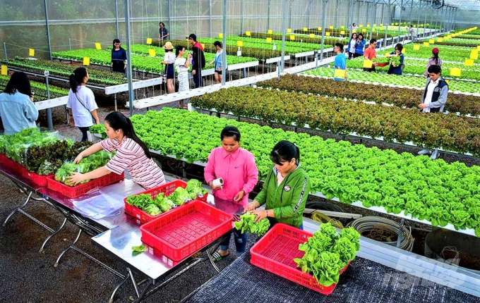 4-142719_717.jpg Đồng Nai đang kêu gọi nhà đầu tư trên nhiều lĩnh vực trong đó có nông nghiệp và du lịch sinh thái. Ảnh: HL.