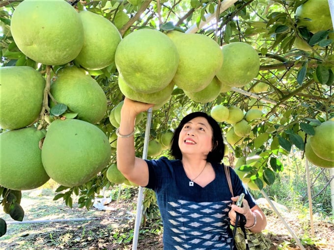 Ngành Nông nghiệp tỉnh Đồng Nai tiếp tục tái cơ cấu lại sản xuất gắn với đổi mới mô hình tăng trưởng và xây dựng NTM. Ảnh: AV.