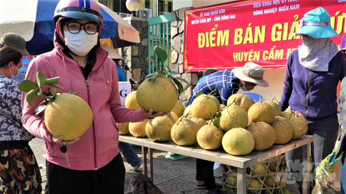 d-142616_776.jpg Người dân TP.HCM tích cực mua bưởi 'giải cứu' chia sẻ khó khăn với bà con nhà vườn trồng bưởi tỉnh Đồng Nai. Ảnh: MS.