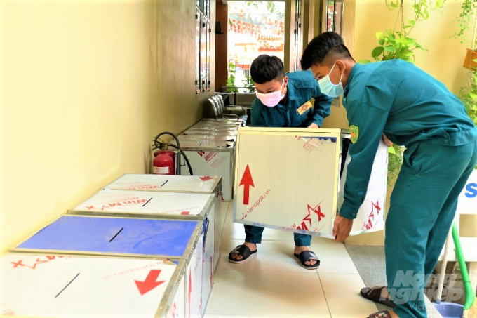 8-124602_222.jpg Lực lượng dân quân tự vệ thuộc Phường 6, quận Gò Vấp hỗ trợ tập kết thùng phiếu tại trụ sở UBND phường. Ảnh: Hồ Duy.