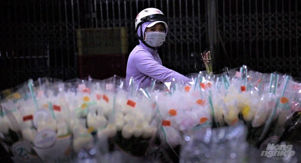 4-203614_495.jpg Các loại hoa từ Đà Lạt chở xuống chợ đủ loại, từ cúc, lay ơn, hồng, hoa ly... Ảnh: MS.