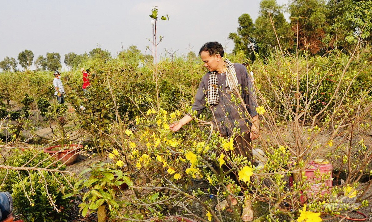 z3159857927193_28ce7193bf6eeb25da8b66894396c284-171740_628.jpg Những khu vườn đầy sắc xuân xung quanh Nông trại khiến cho không khí năm mới càng thêm rực rỡ hút du khách đến tham quan chơi xuân. Ảnh: Minh Sáng.