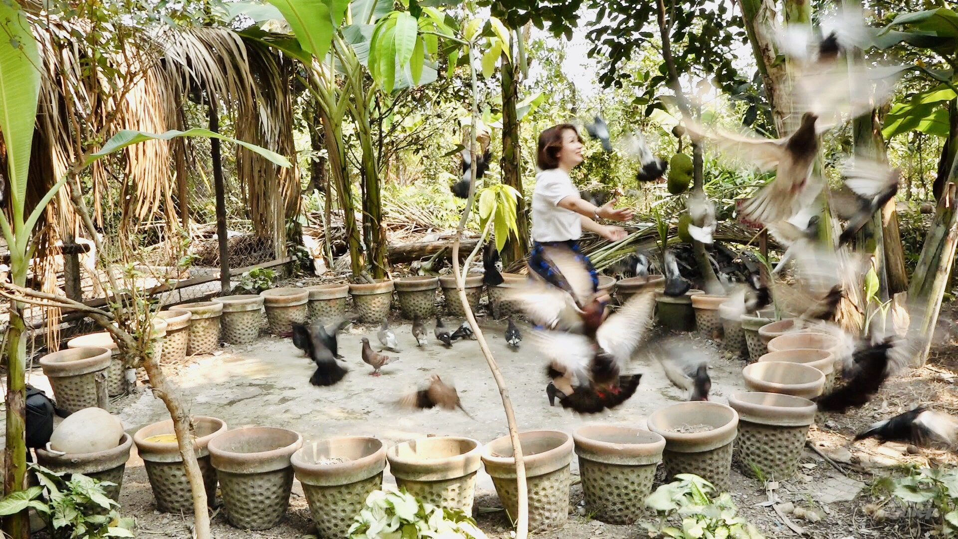 z3159857939772_eab32782f65ec9542b627fffeb4d0886-171744_555.jpg Du khách trải nghiệm thực tế nghề nông tại Tam Nông Farm. Ảnh: Minh Sáng.